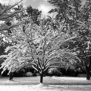 Meet your Posher, Marianne